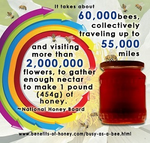1 pound of honey image
