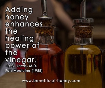 vinegar and honey rmeedy image