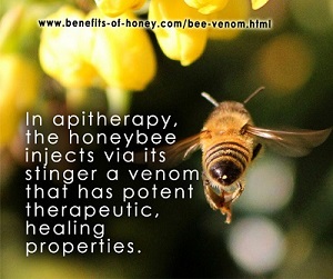 bee venom therapy poster image