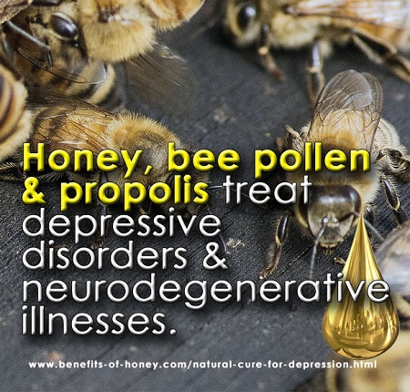  bee products as natural cure for depression image