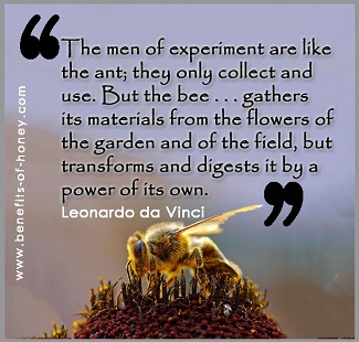 bee's honey poster image