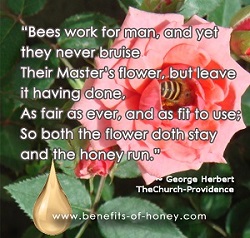 bee quotes graphic