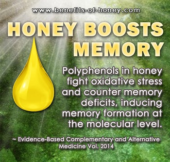 honey boosts memory poster image