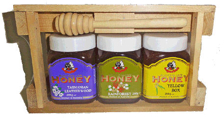 buy-honey-Wood Crate - 3 x 250g Hon+Dipper image