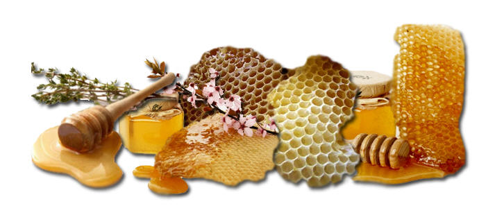 honey news image
