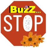 honey newsletter