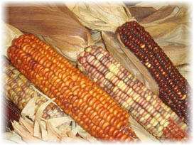 corn syrup image