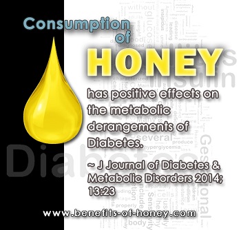 Honey and Diabetics image