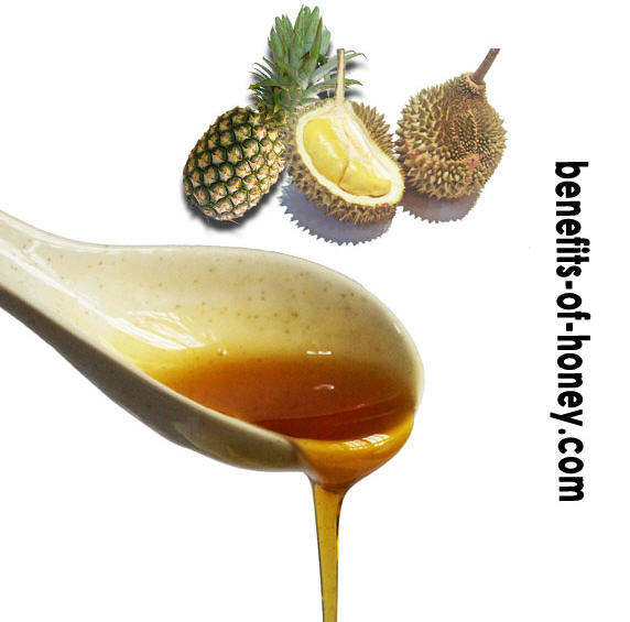 malaysia's durian and pineapple honey image