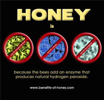 honey is antimicrobial image