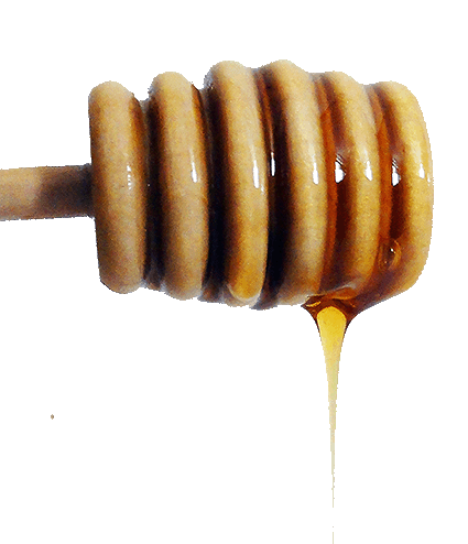 cinnamon and honey mixture image