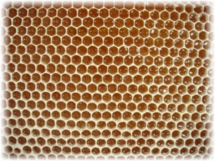 4 Reasons You Must Taste Honeycomb (#4 is Surprising)