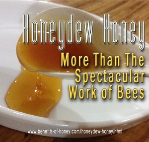 honeydew honey bee image