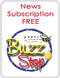 honey newsletter image