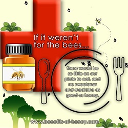 save the honeybees poster image