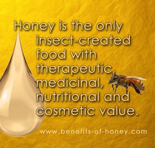 What do honey bees eat?