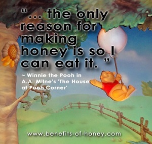 pooh loves honey poster image