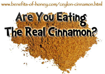 ceylon cinnamon image