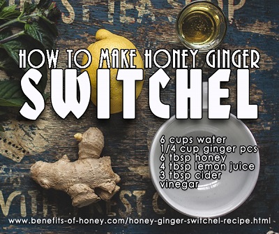 Honey Ginger Switchel Recipe image
