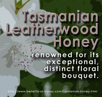tasmanian leatherwood honey image