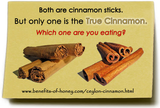 real cinnamon image