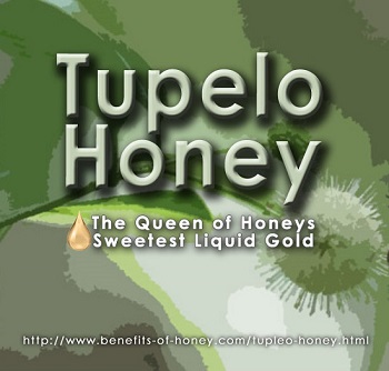 tupelo honey poster image