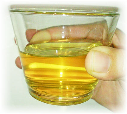 wild honey image