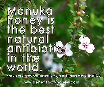 manuka honey is the best natural antibiotic image