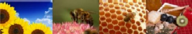 benefits of honey pictures