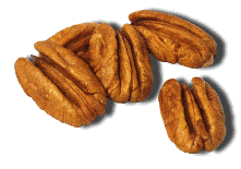 pecan nut image