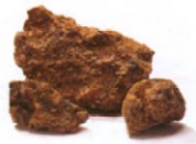 propolis picture