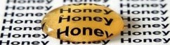 honey as antibiotic
