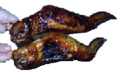 grilled honey wings recipe