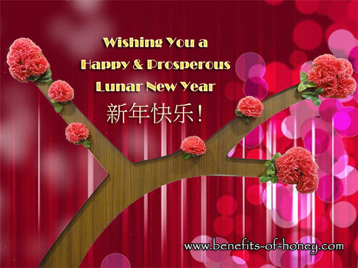 chinese new year 2012 greetings image