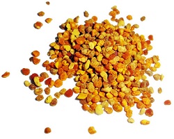 bee-pollen-helath-benefits image