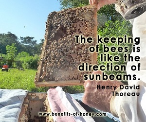 beekeeper image