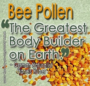 bee pollen poster image