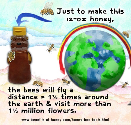 bees make honey image