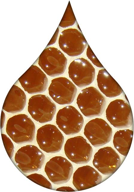 honeycomb pattern graphics