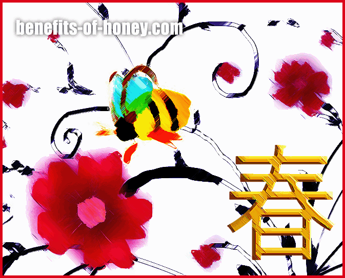 chinese new year 2013 greetings image