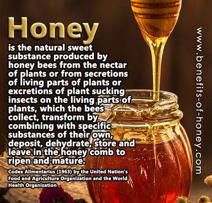 definition of honey poster image