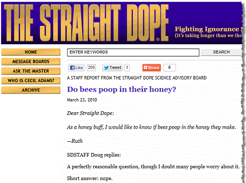 do bees poop image