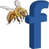 facebook like us image