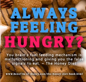 always feeling hungry image