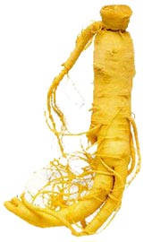 ginseng picture