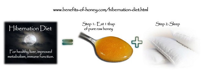 hibernation honey diet image