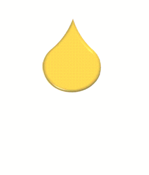 The No. 1 Truth About Honey