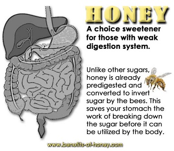 honey for digestion poster image