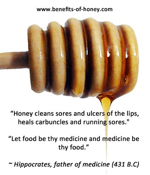 why honey is antibacterial