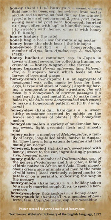 3 letter words with honey in them